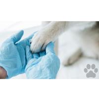 Southwest Florida Veterinary Services image 3